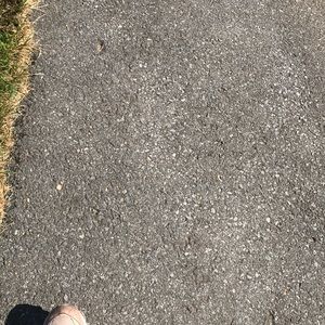 Meet your Posher, Toney